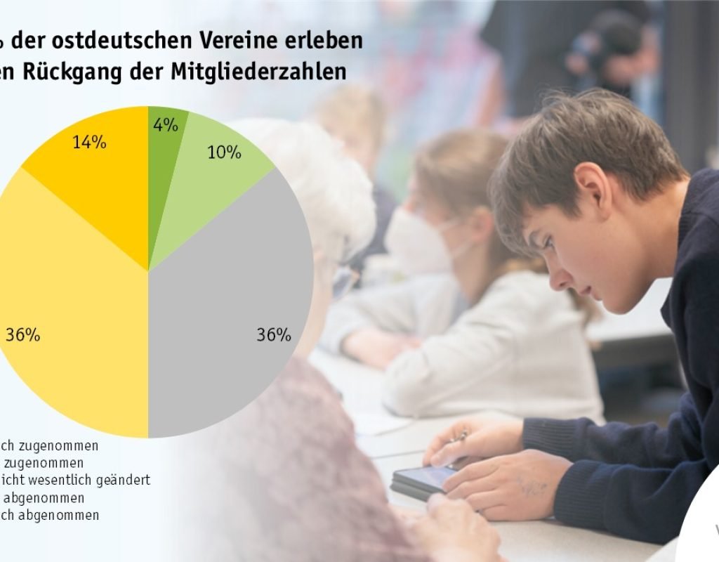 Grafik Organisationsentwicklung Vor RT Quer